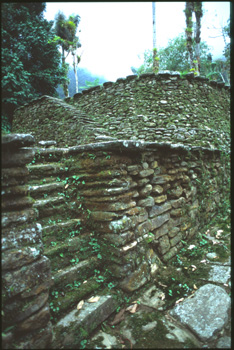 cite perdue-15.jpg